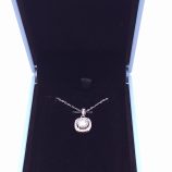 S925 Halskette mit Moissanit Stein (3)